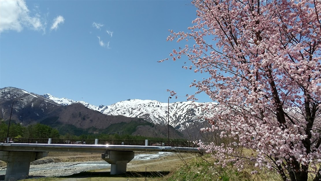 春の平川橋.JPG